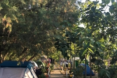 thecampbodrum-311
