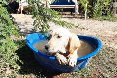 thecampbodrum-36