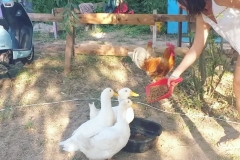 thecampbodrum-38