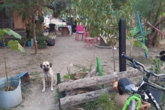 thecampbodrum-47