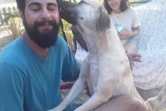 thecampbodrum-62