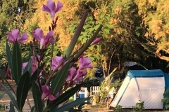 thecampbodrum-64