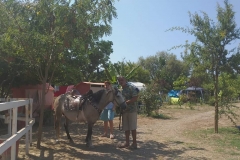 thecampbodrum-85