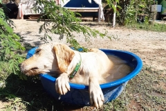 thecampbodrum-86